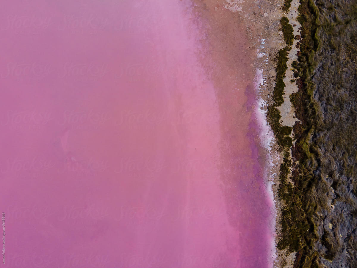 An aerial pink abstract view of a salt lake