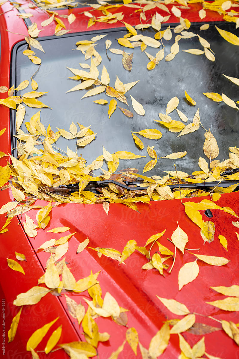 Cropped view of the red car covered with autumn leaves
