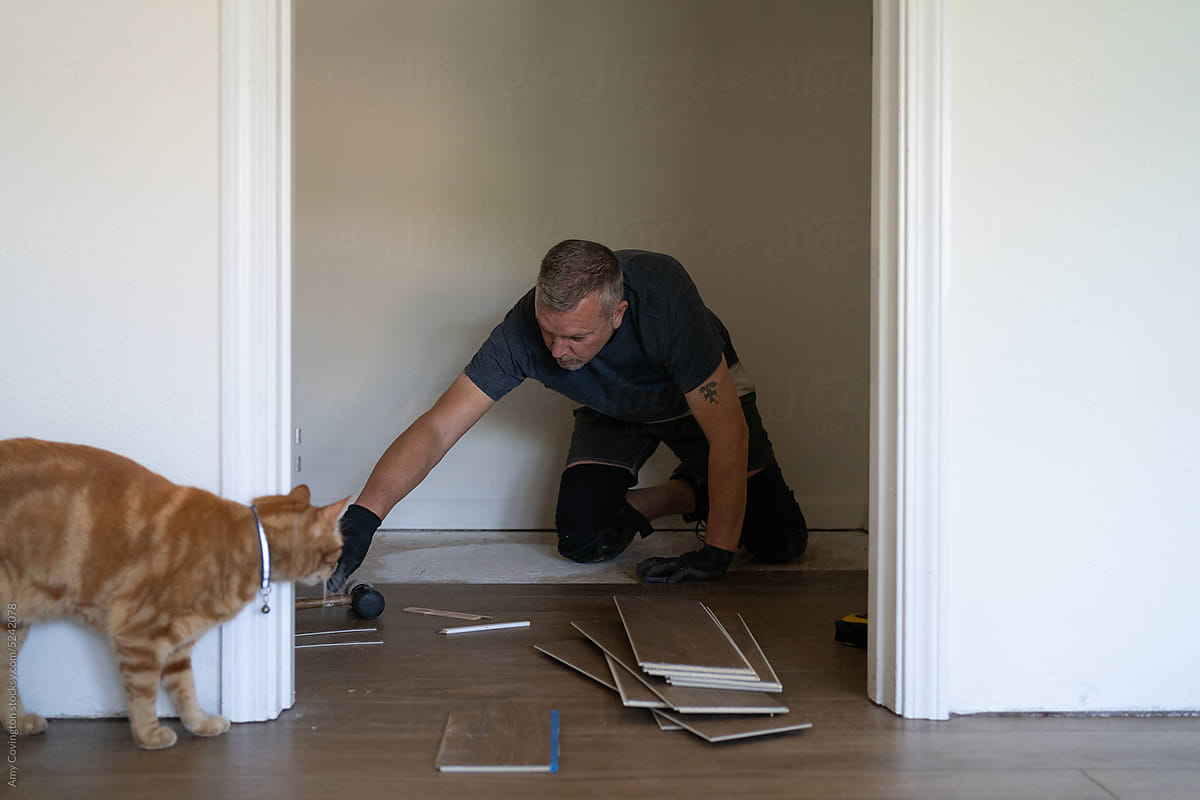 Cat watches man install new flooring