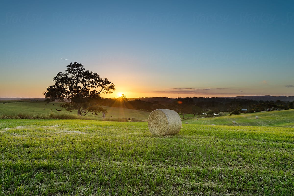 rural sunset scene