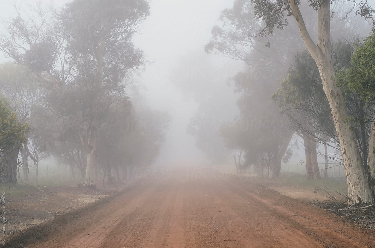 Looking down a gravel road into the heavy fog