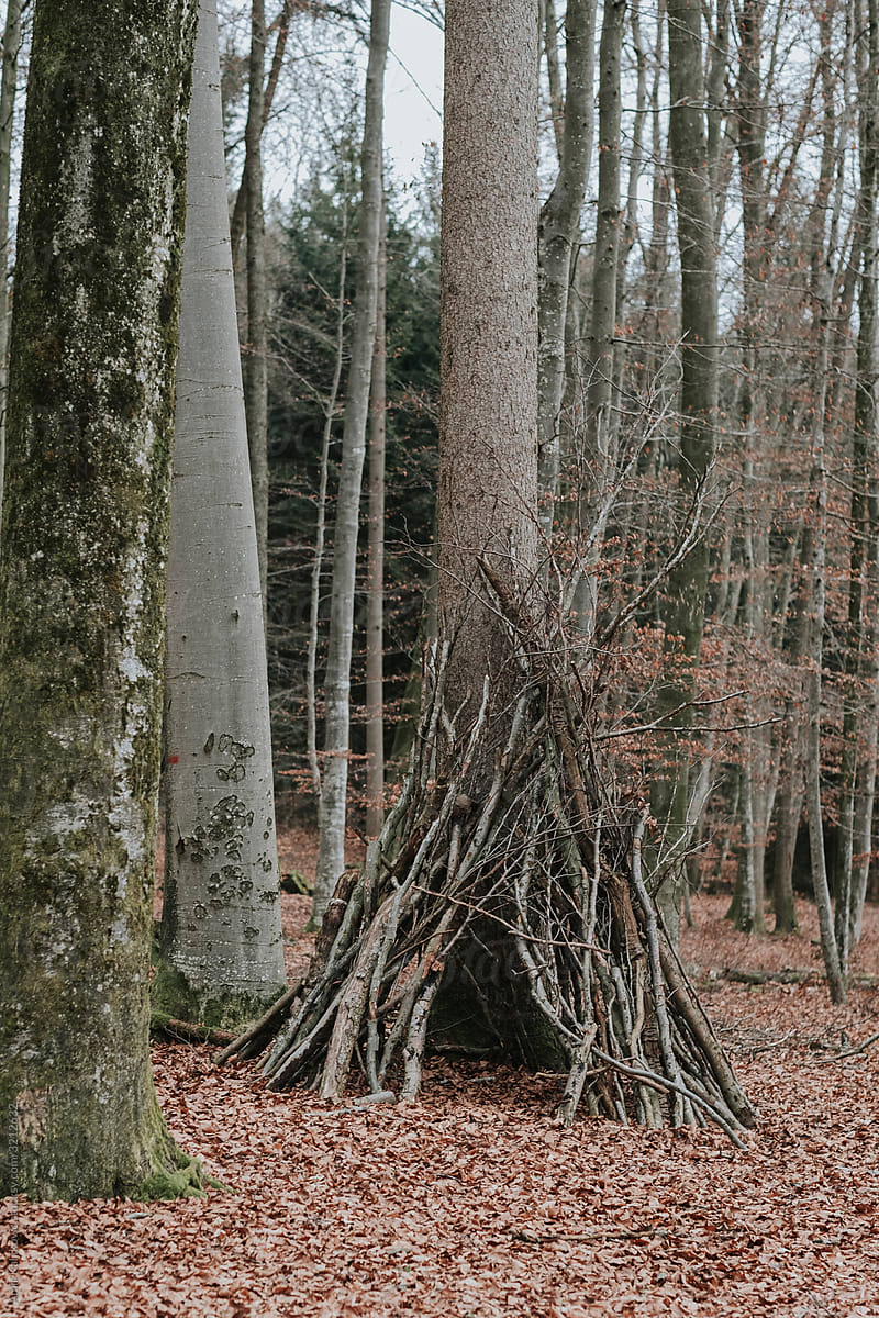 Hand made wigwam of fallen tree branches
