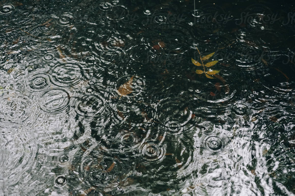 Rain drops on surface of water