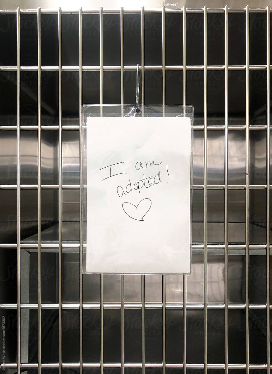 Pet Adoption Sign Hanging in Cage