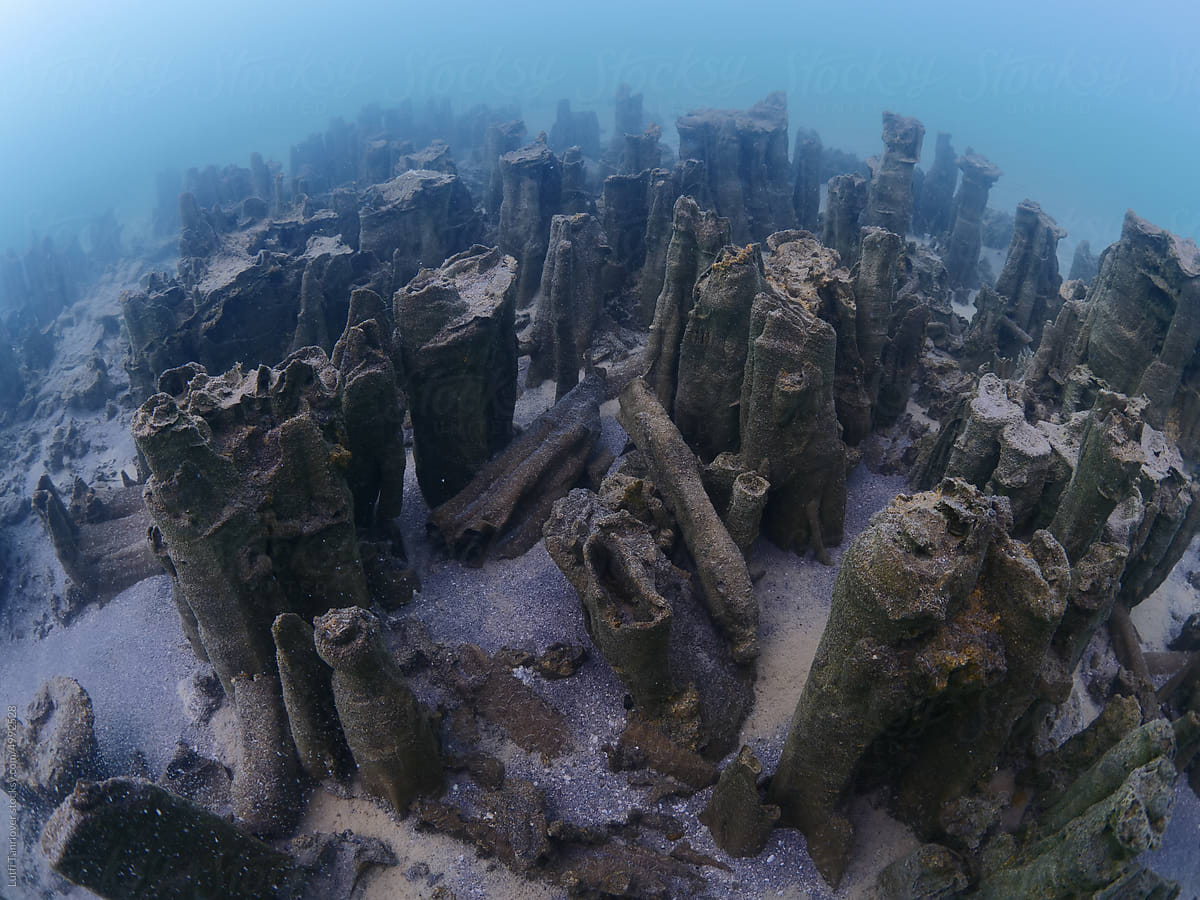 microbialites underwater lake looks like city with towers
