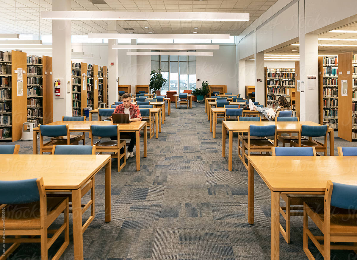 Two Students Alone In A Library