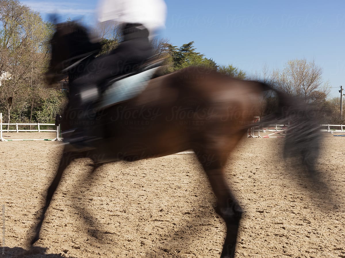 Anonymous rider on horse in motion