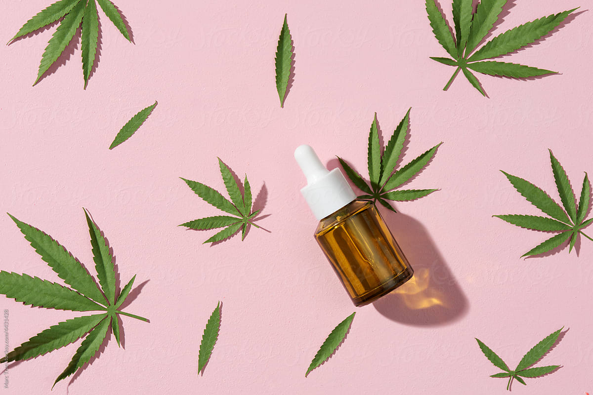 Natural cosmetic. CBD oil, THC tincture and hemp leaves on a pink background.
