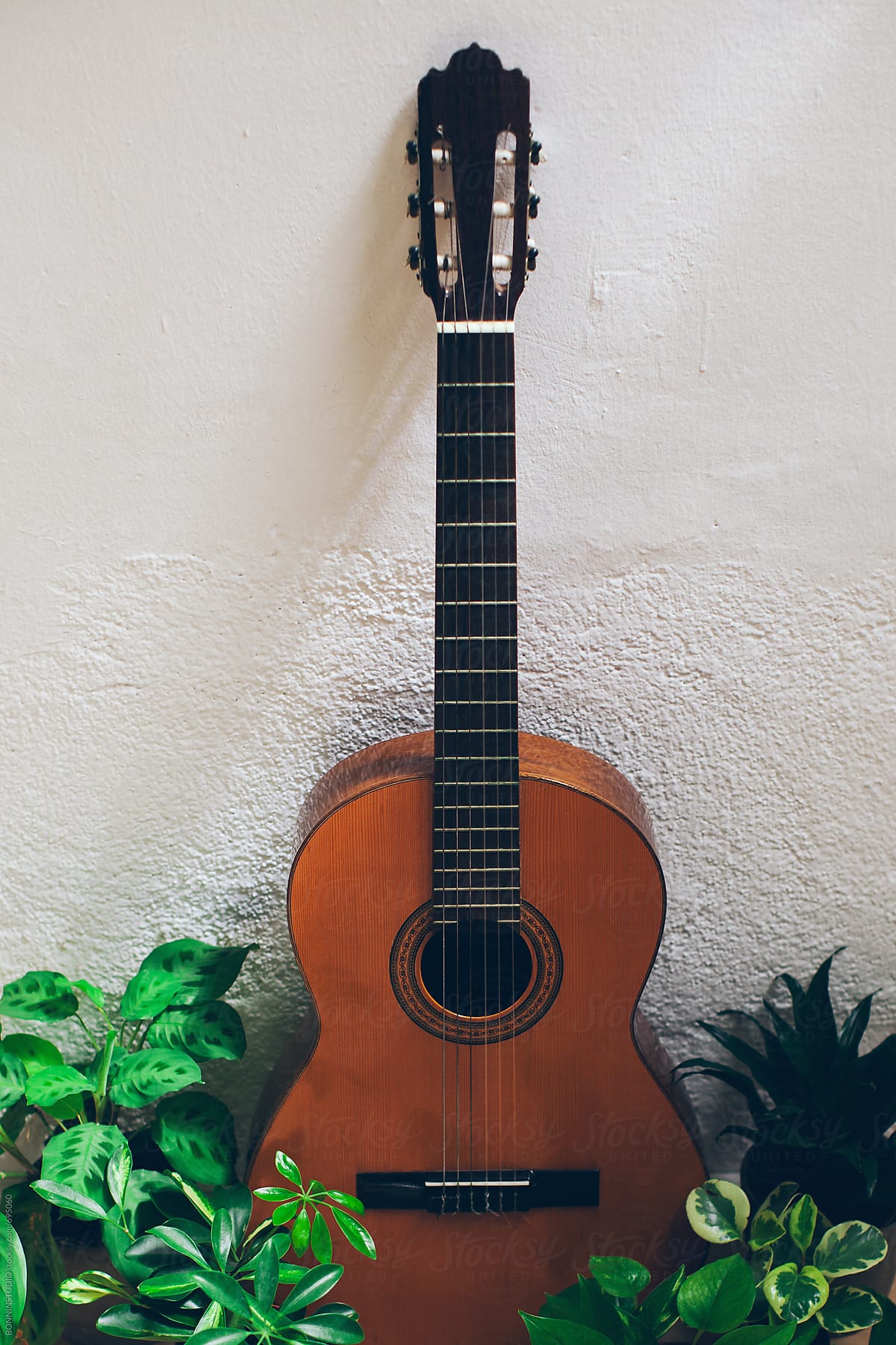 Spanish acoustic guitar standing around the plants.