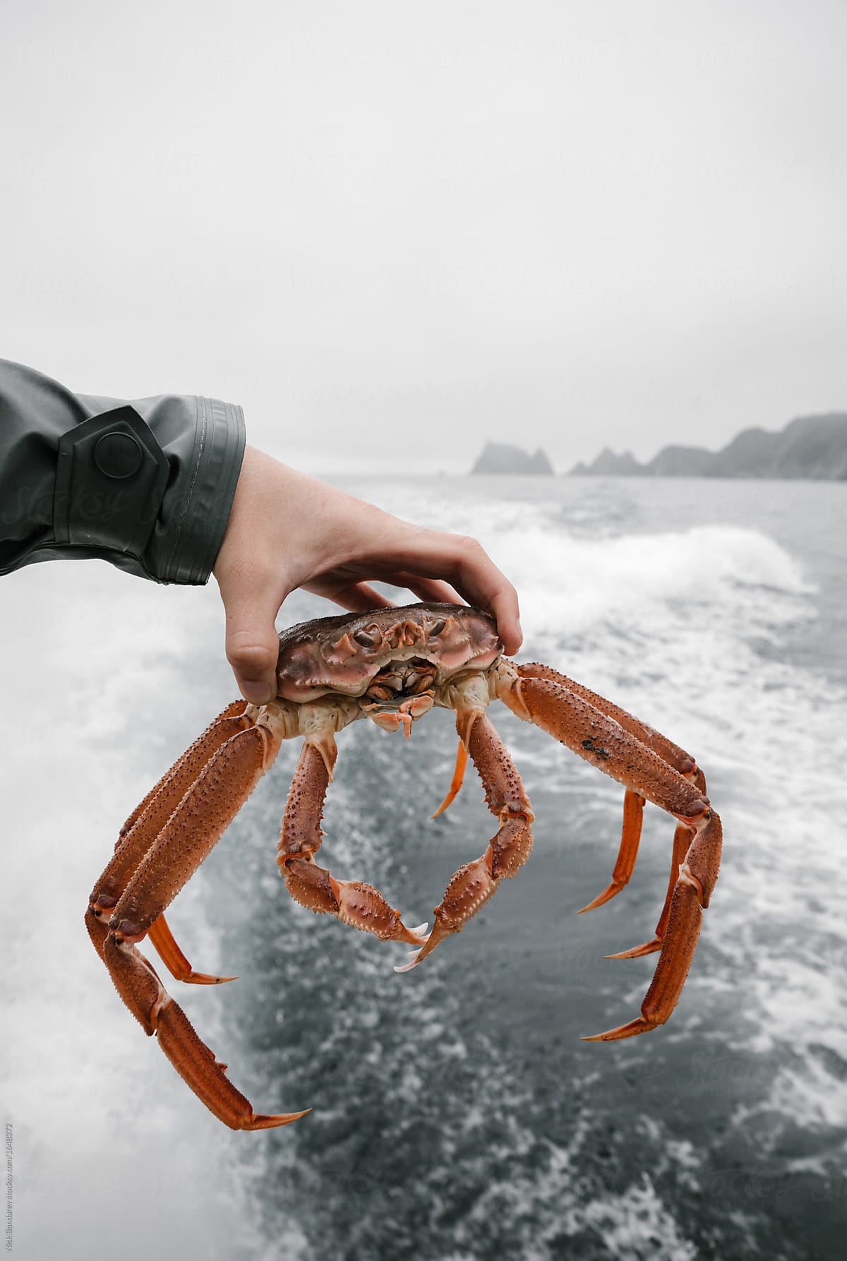 man holds crab in the hand