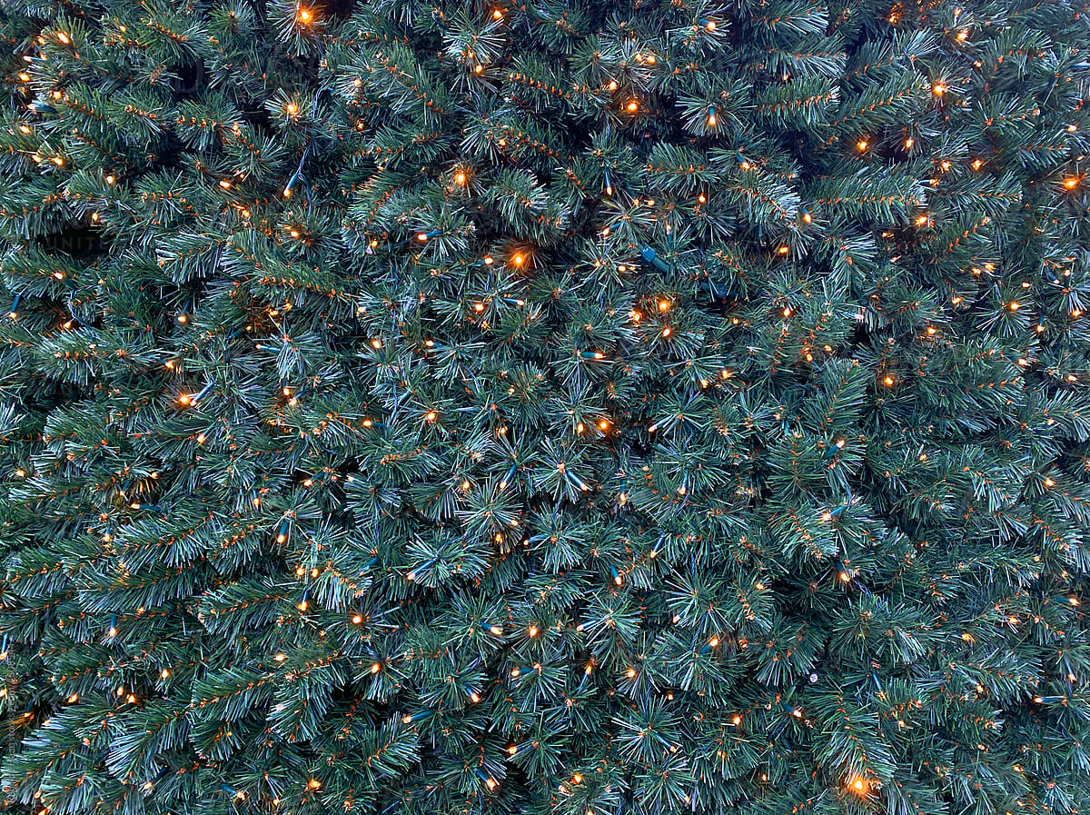 lights in x-mas tree