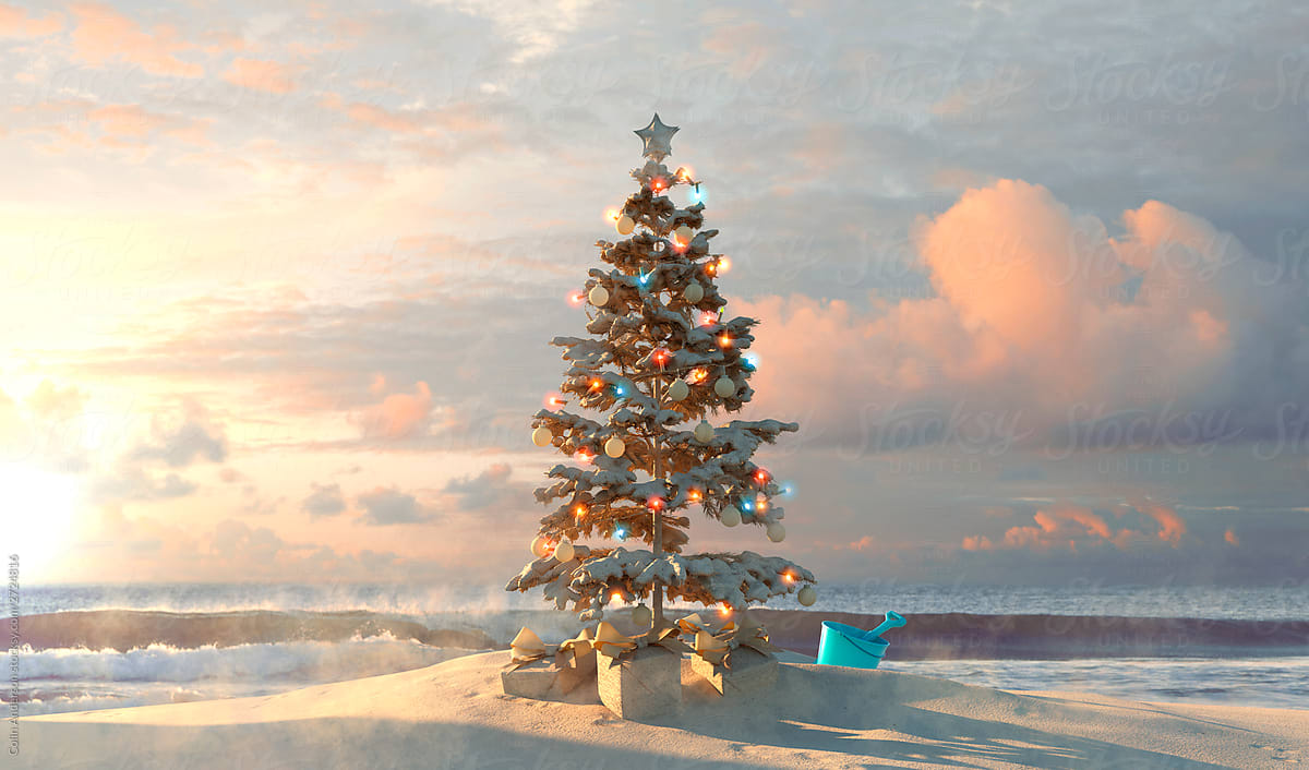 "Tropical Christmas" by Stocksy Contributor "Colin Anderson" Stocksy