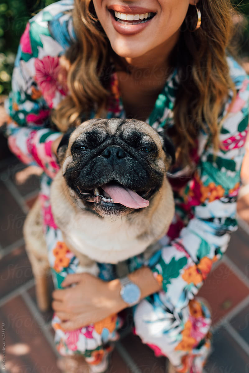 Loved Pug With His Owner