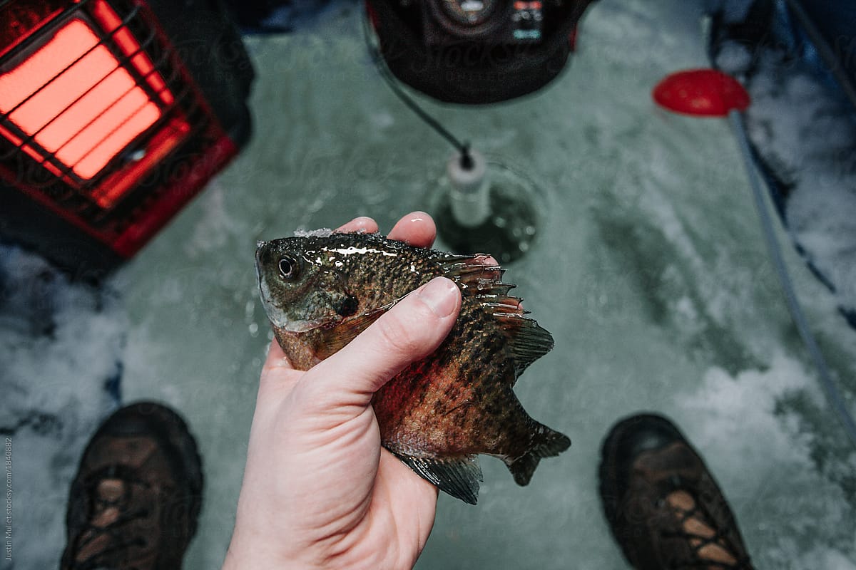 Ice fishing inside a small portable ice house.