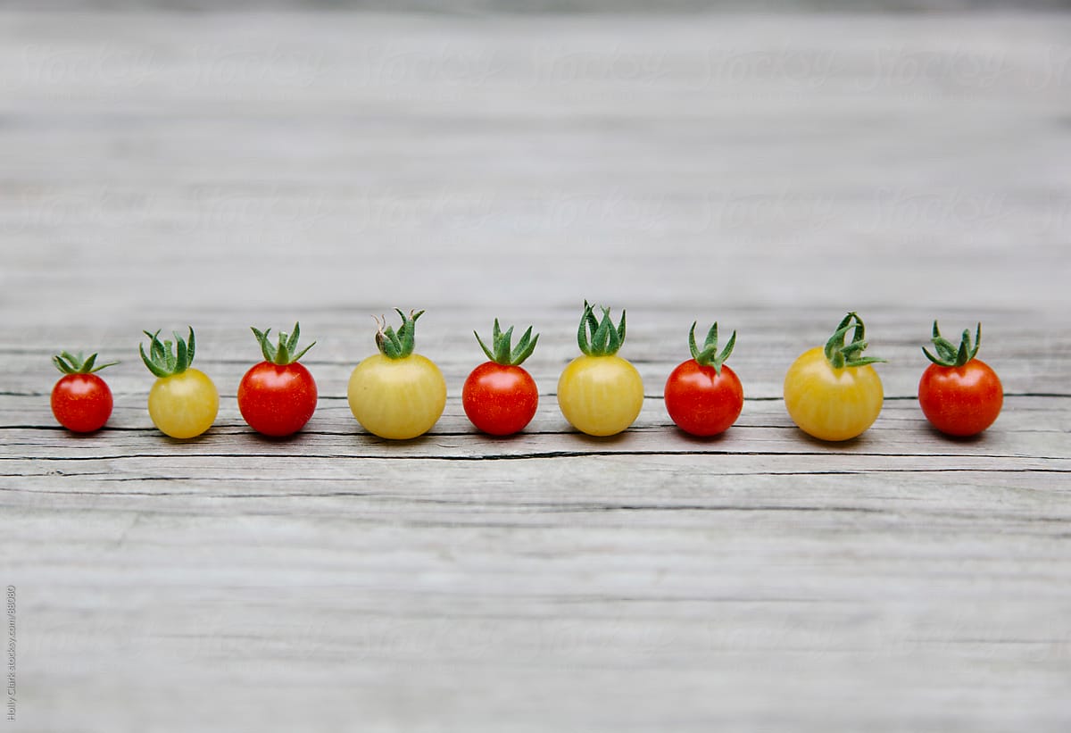A row of tiny tomatoes sitting on a wooden background.