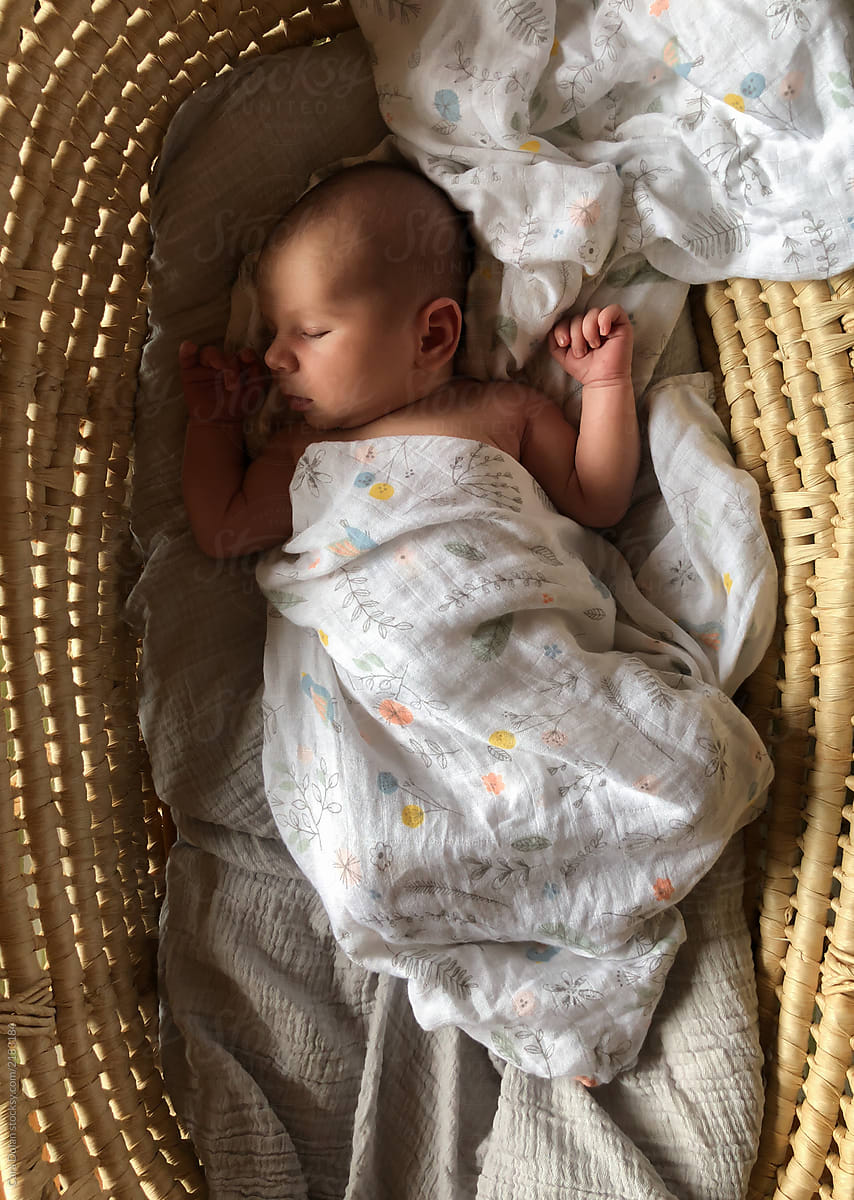 baby in moses basket