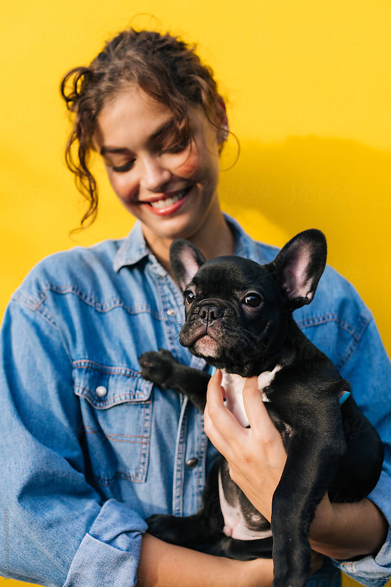 Black Frenchie With His Owner