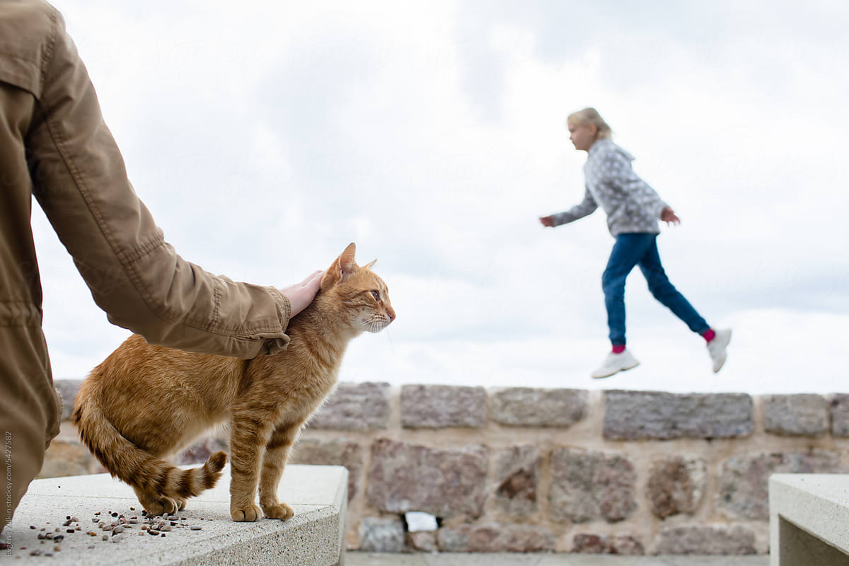 Ginger cat and jumping child