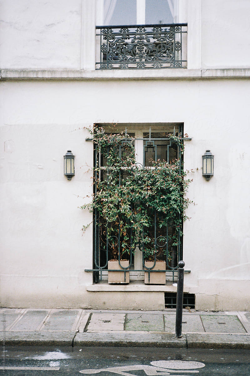 Film scan of Parisian window with plants.