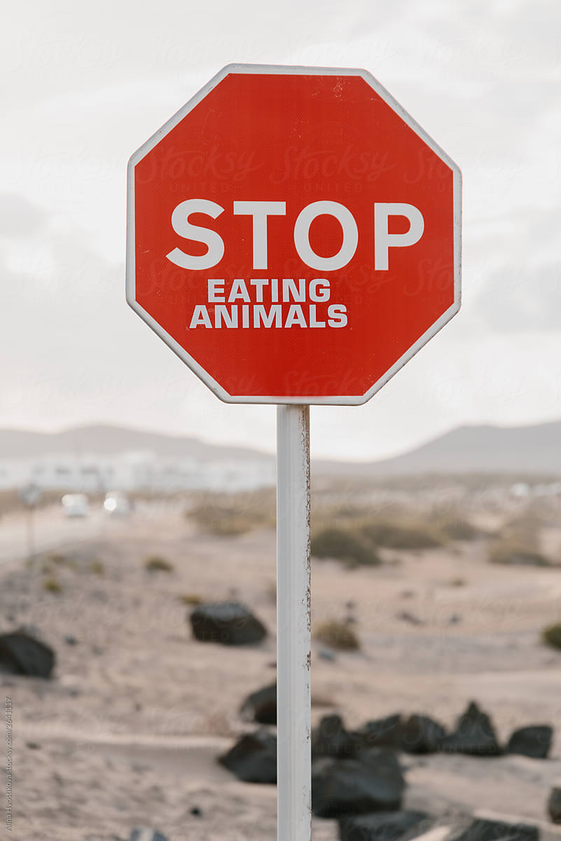 Road sign in mountains with rejection stop eating animals.