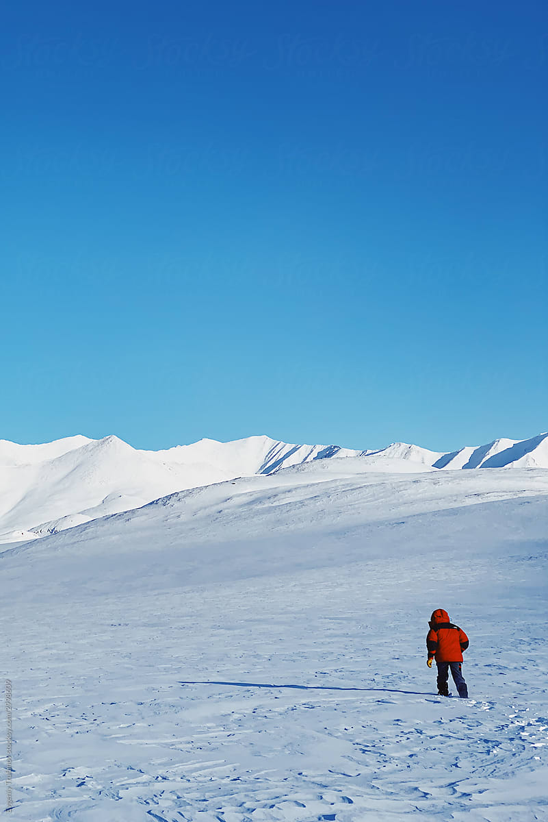 Explore Arctic: to the tundra