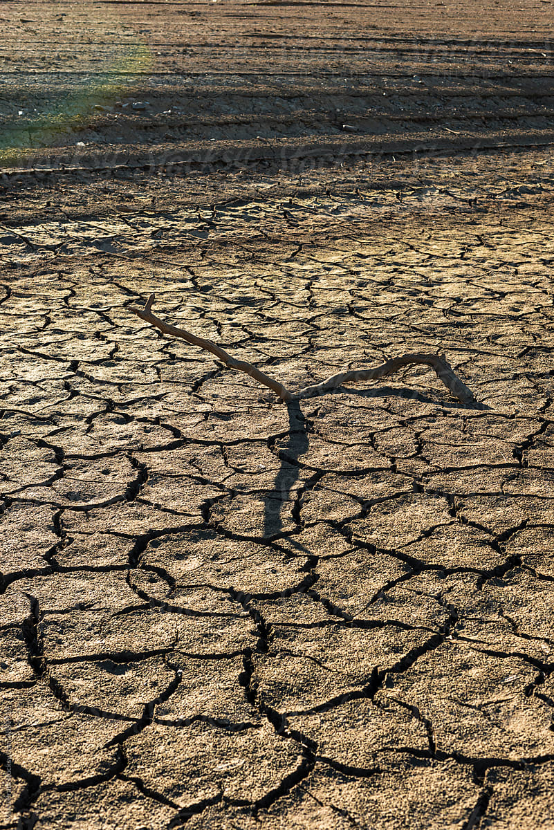 Cracked soil in dried up dam, climate change