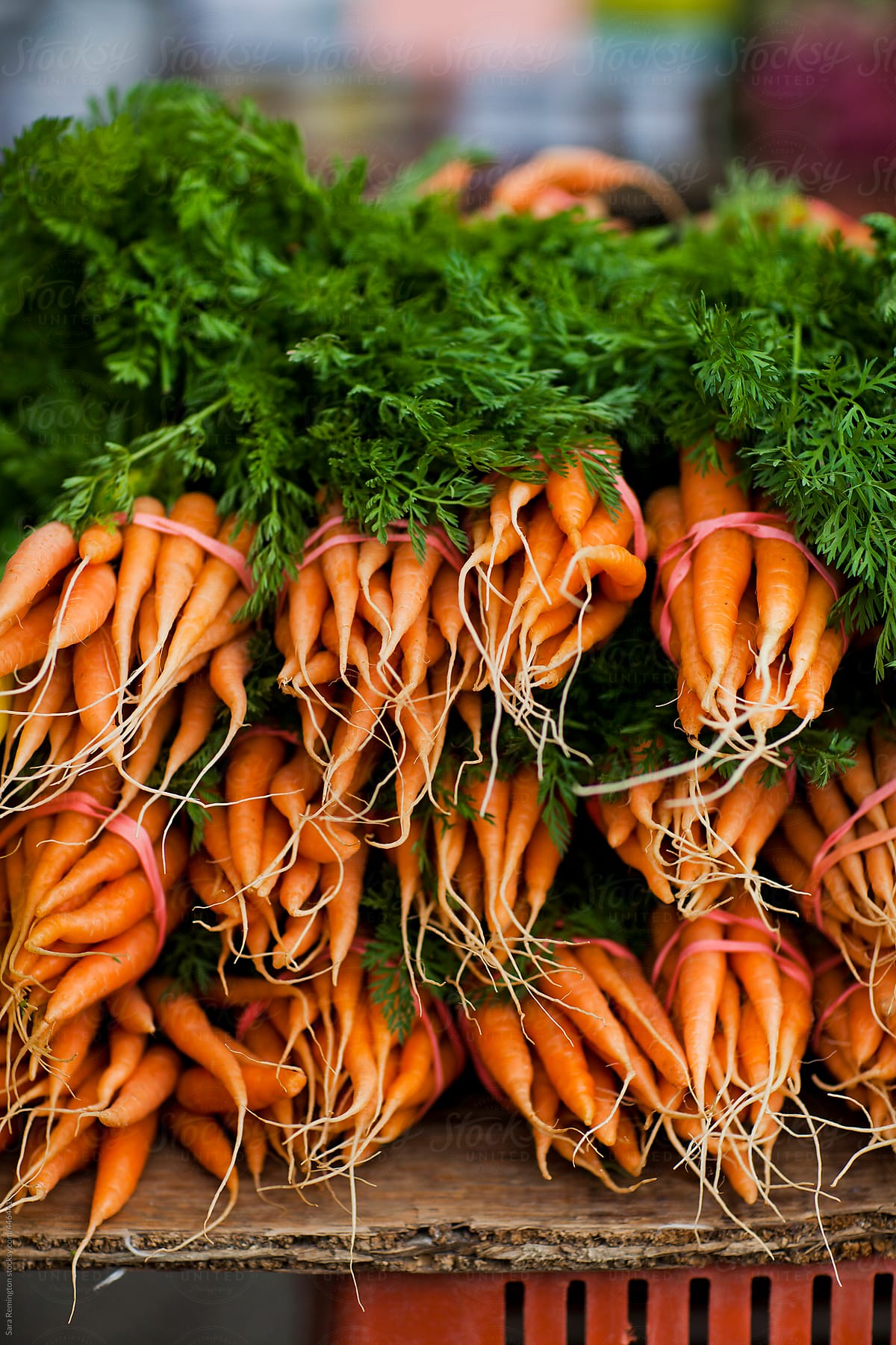 Carrots at Farmer\'s Market