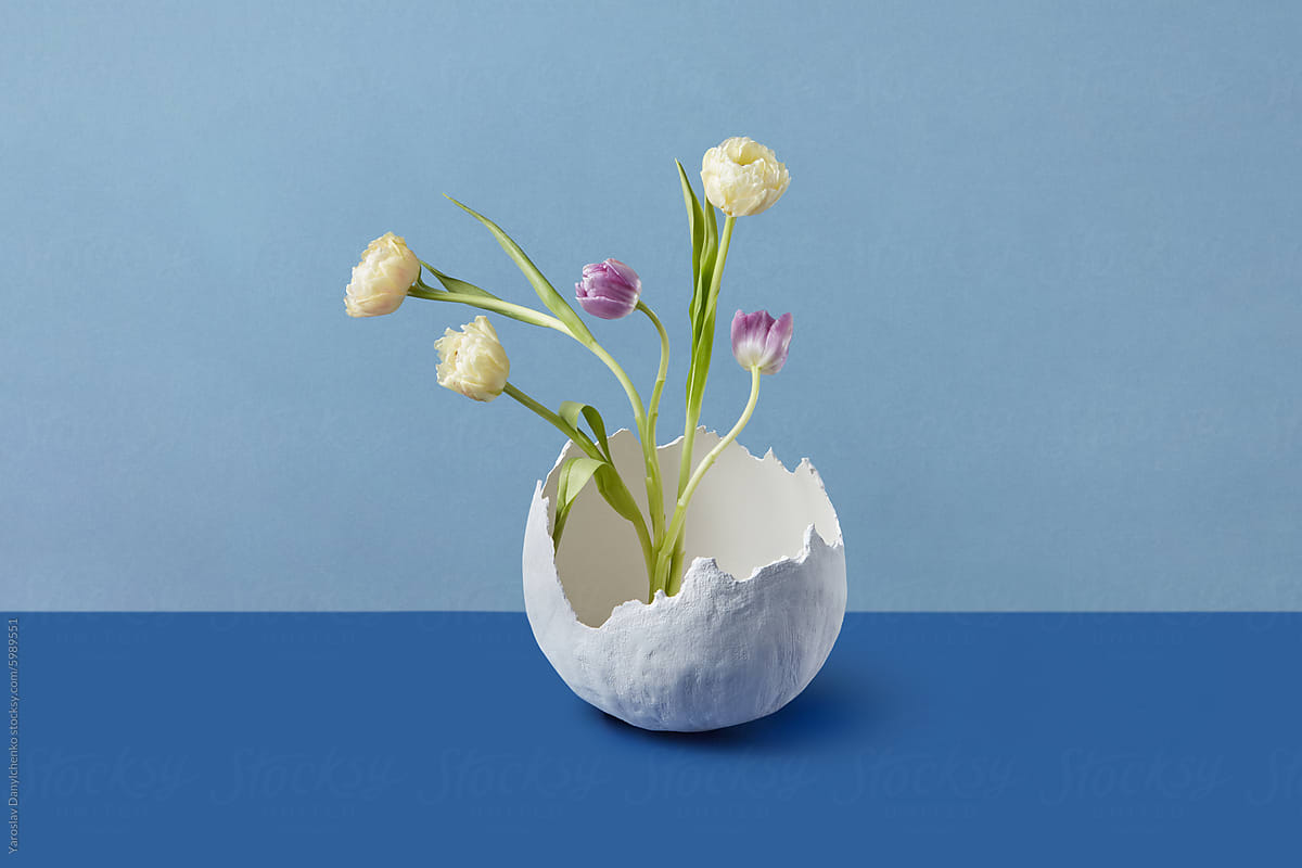 Blooming flowers growing through giant egg on blue surface in studio