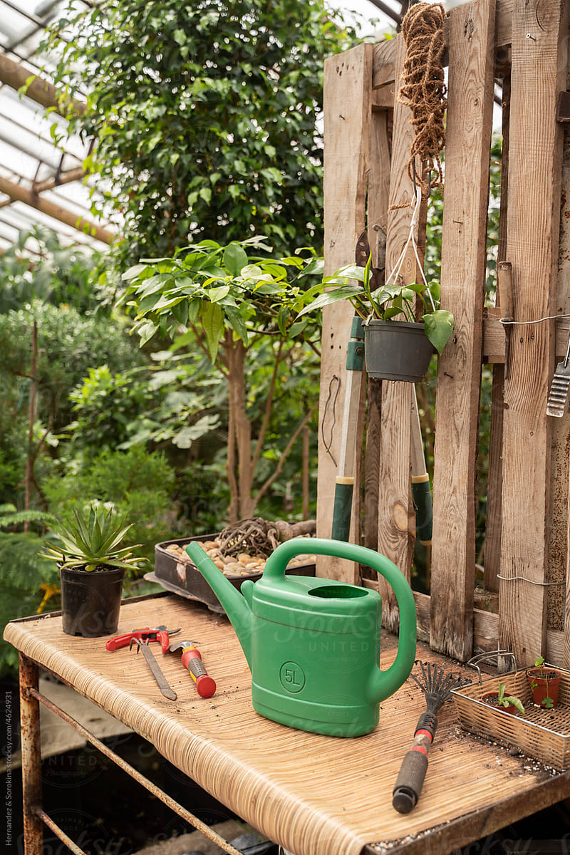 Watering Can At Greenhouse Table