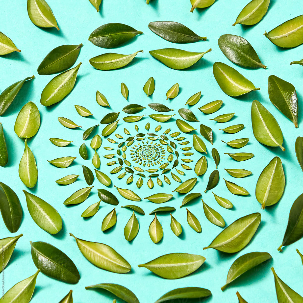 Leaves pattern on a turquoise background