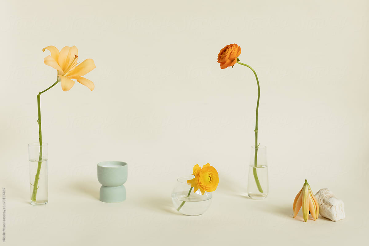 variety of flowers in different vases spread across light cream backdrop