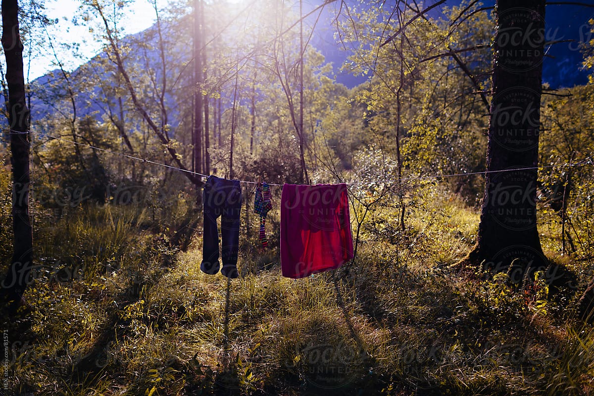 Laundry in a Wild Forest