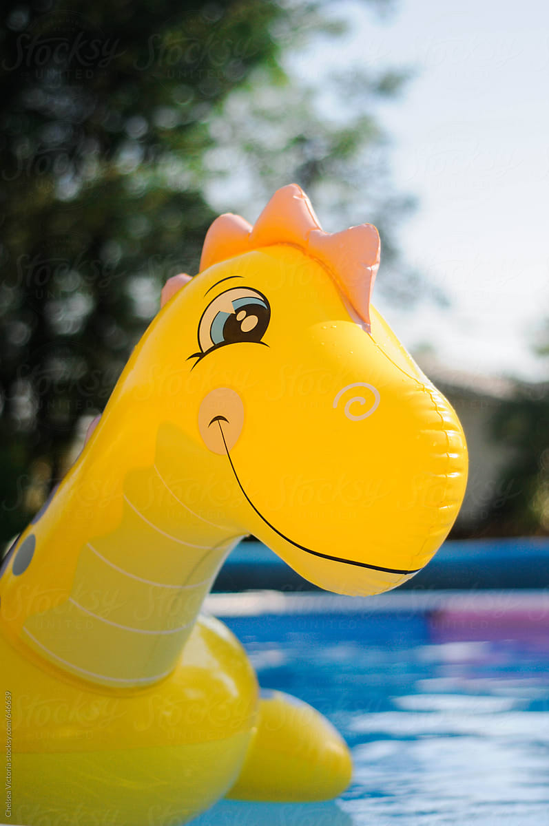 Dinosaur pool float