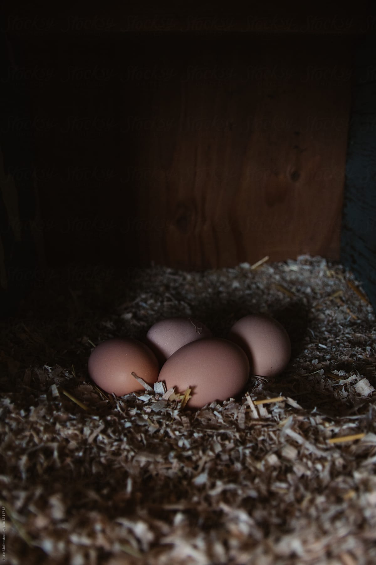 Brown chicken eggs in nest box.