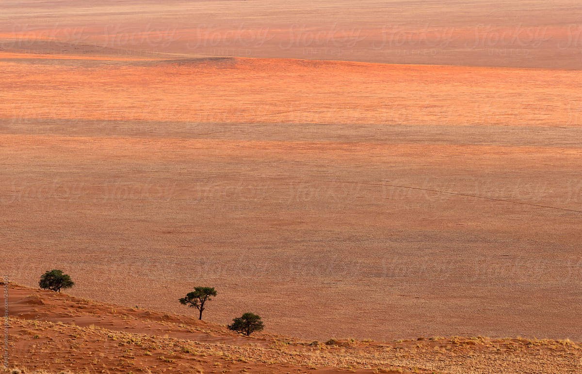 Namibian Desert at Sunset