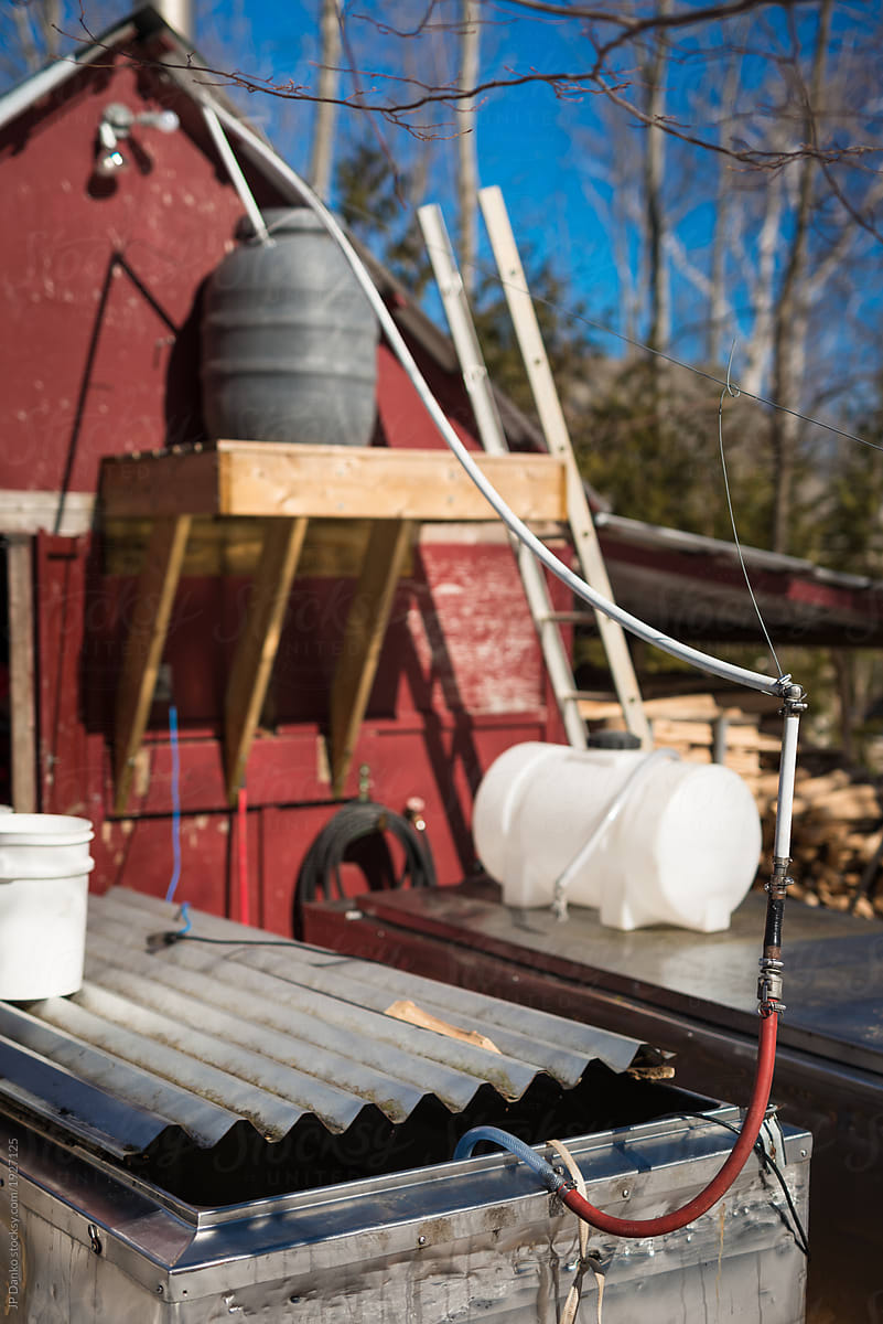 Sugar shack boiler reducing maple syrup on Ontario maple syrup farm in sugar bush