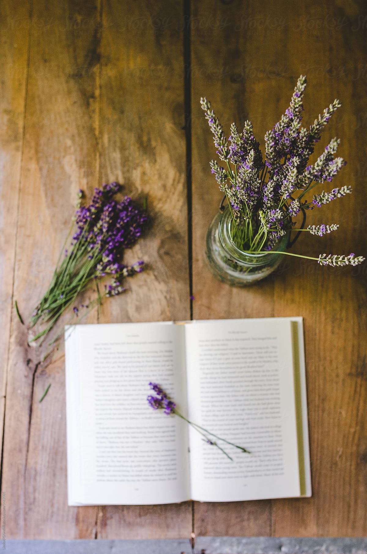 Still life with open book and fresh lavender