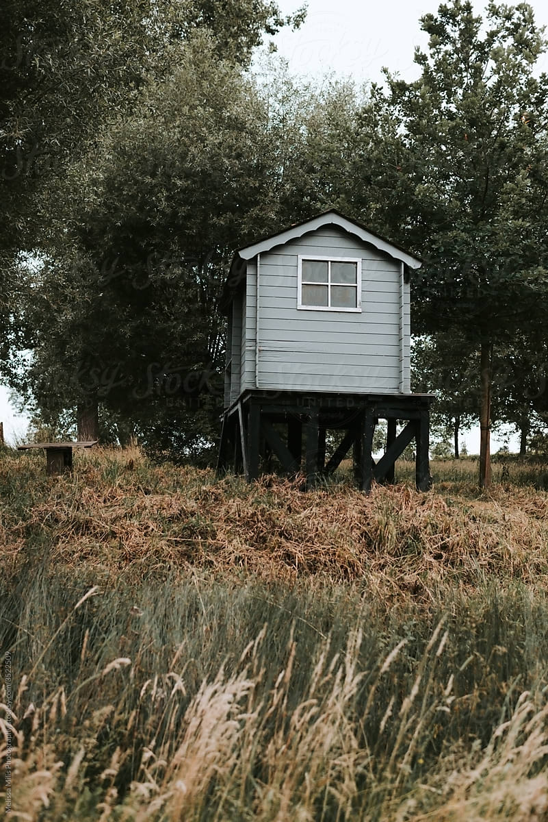 Small blue wooden cabin in a field with trees