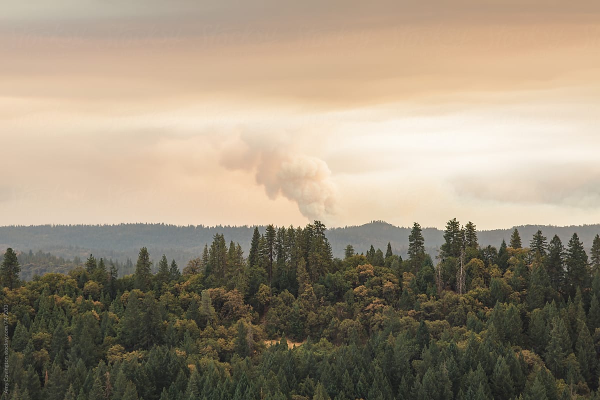 California wilderness scenery with wildfire burning in the distance