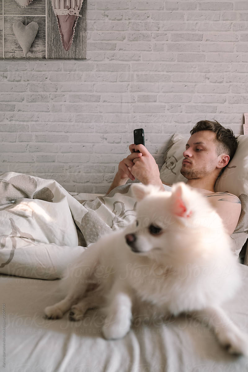 The dog lies with its owner on the bed on a sunny morning. He reads messages in the phone