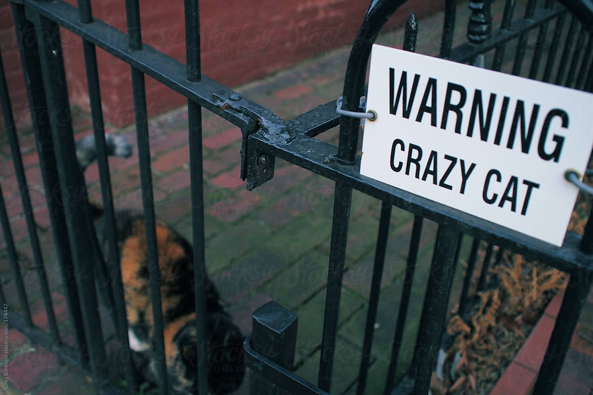 Warning sign on an old metal gate for a crazy cat