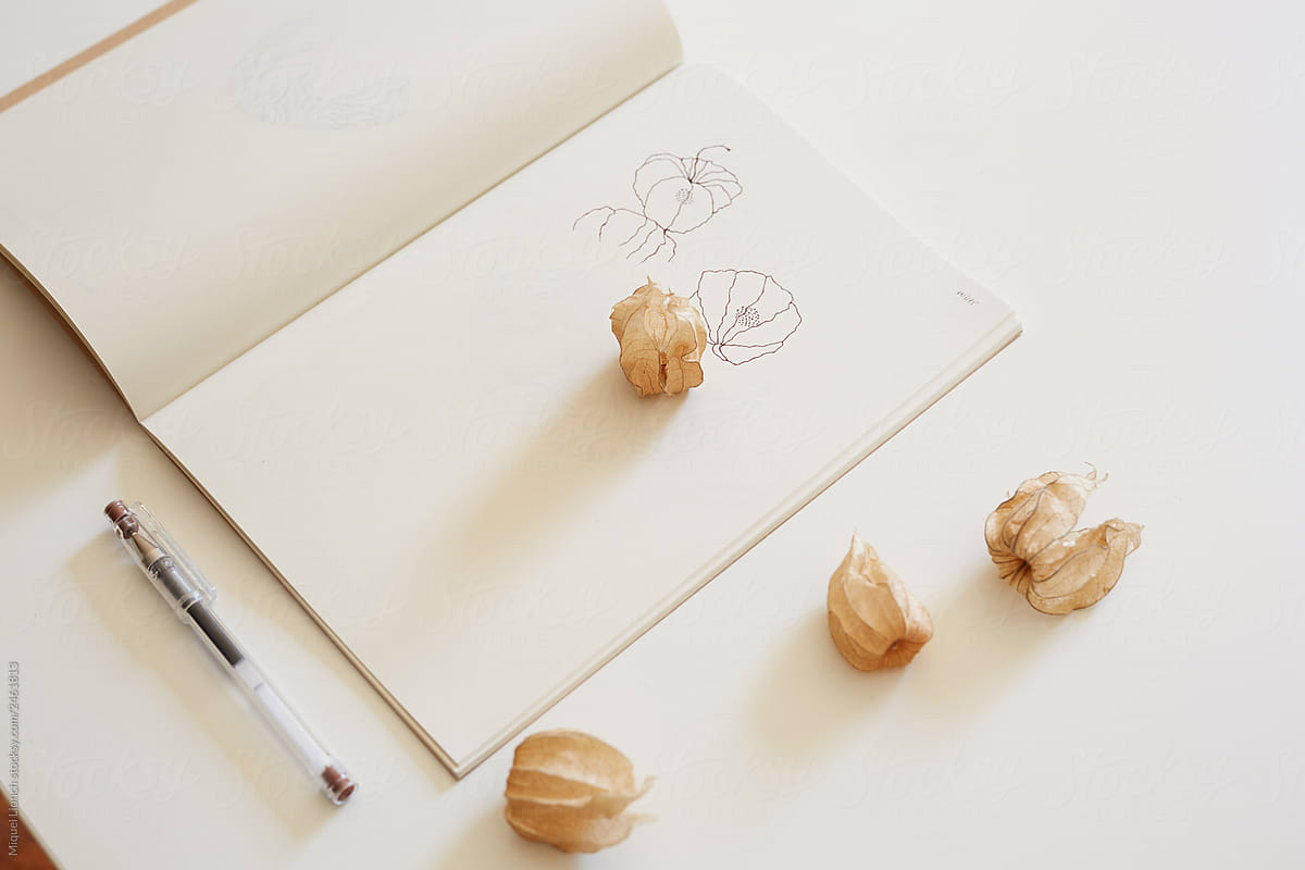 Artist notebook with plant drawings