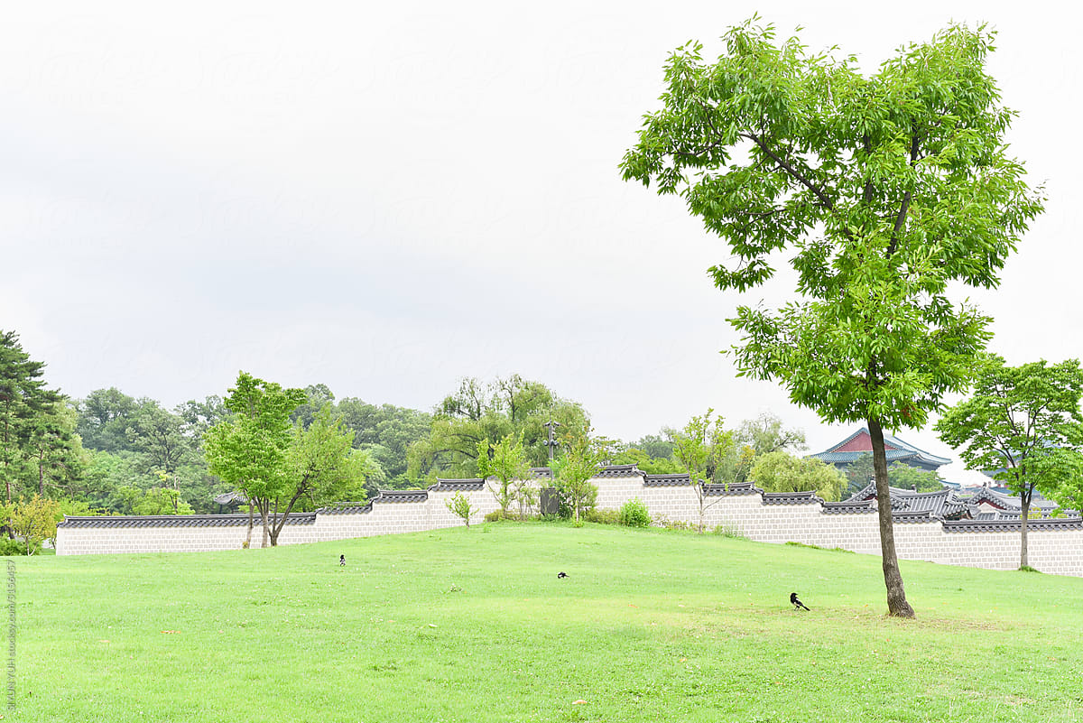 Park in Gyeongbokgung Palace