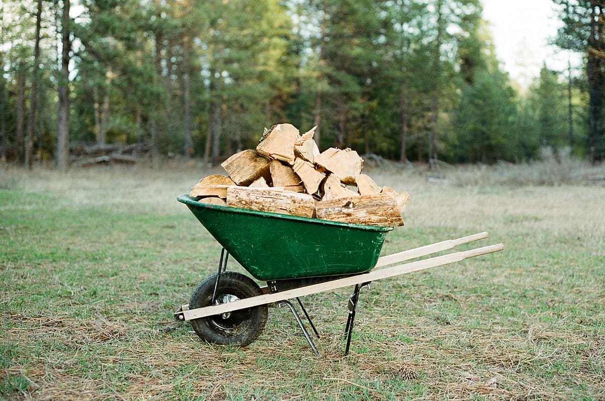 Load of split firewood in wheel barrow.