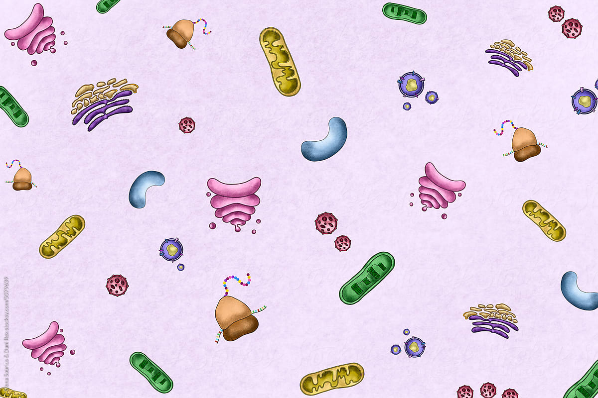 Repeating pattern of collection of plant cell organelles.Illustration