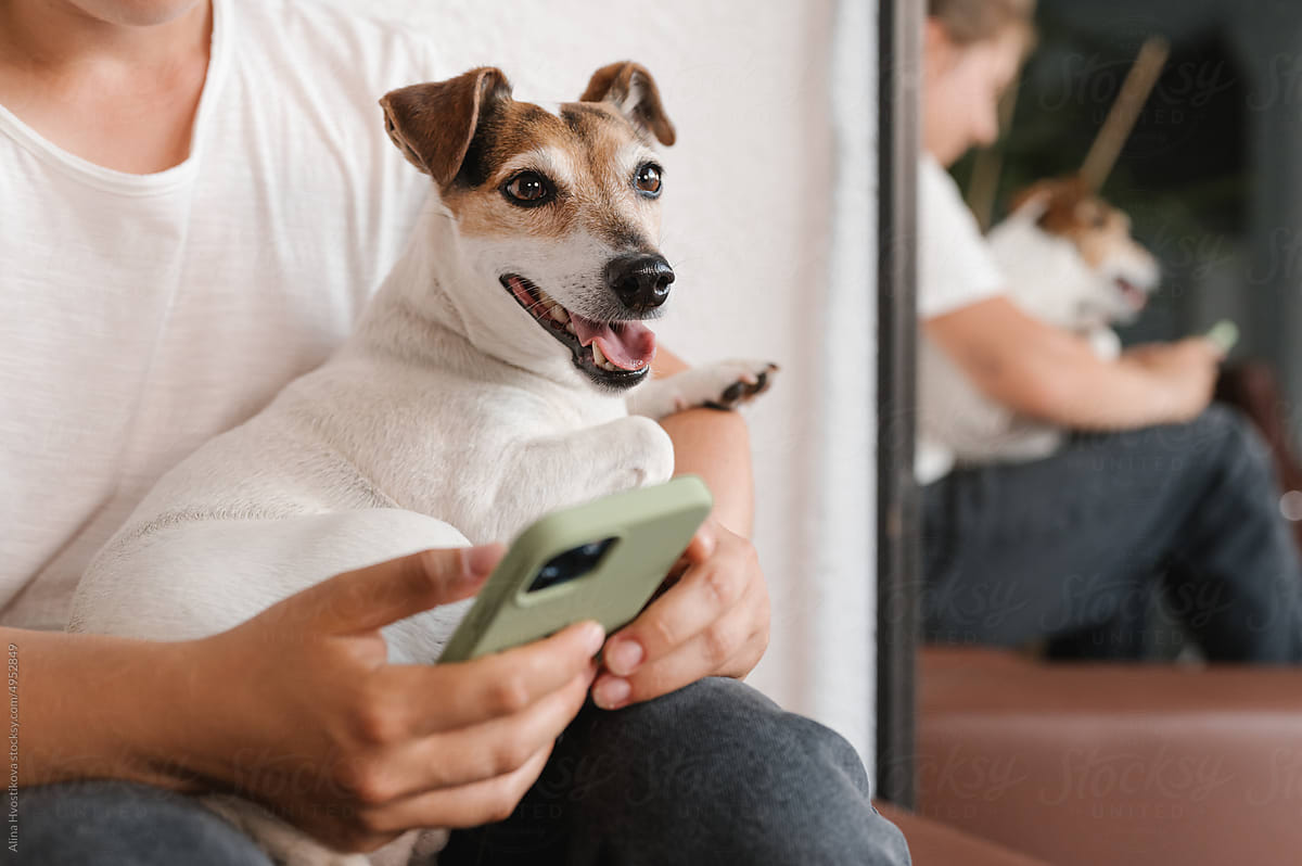 Happy woman with Jack Russell Terrier using cellphone