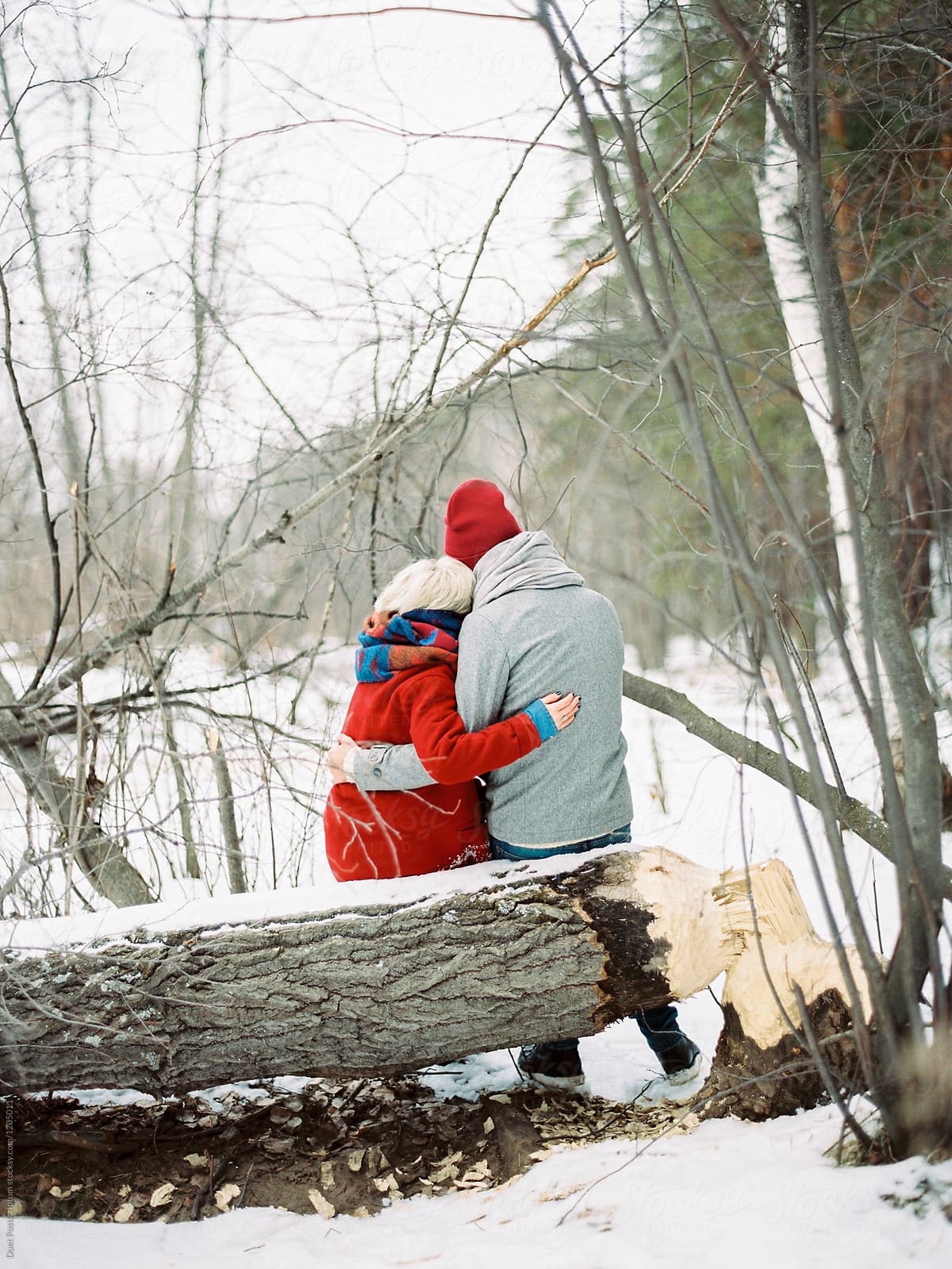 Couple hugging in a winter forest
