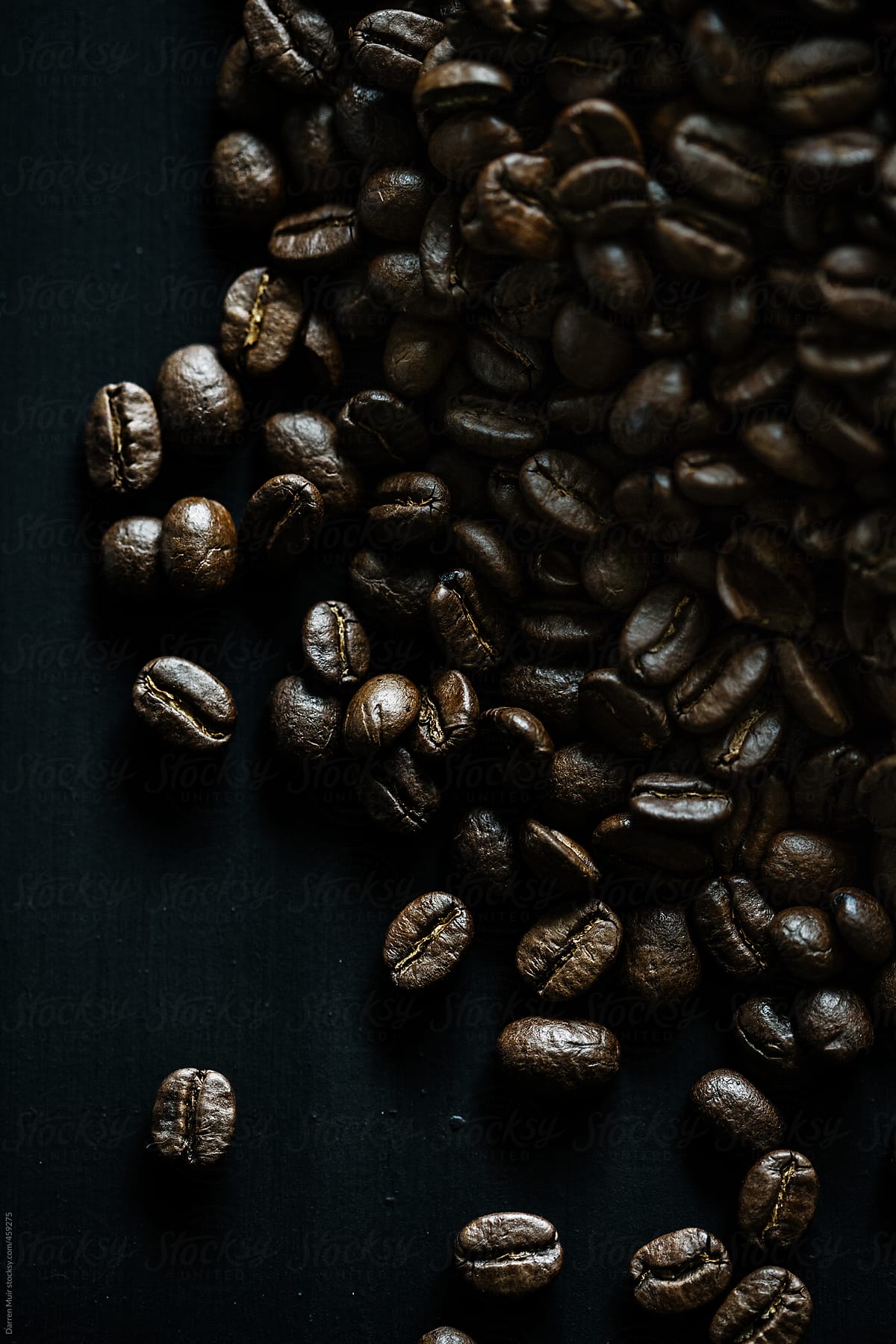 the coffee bean
