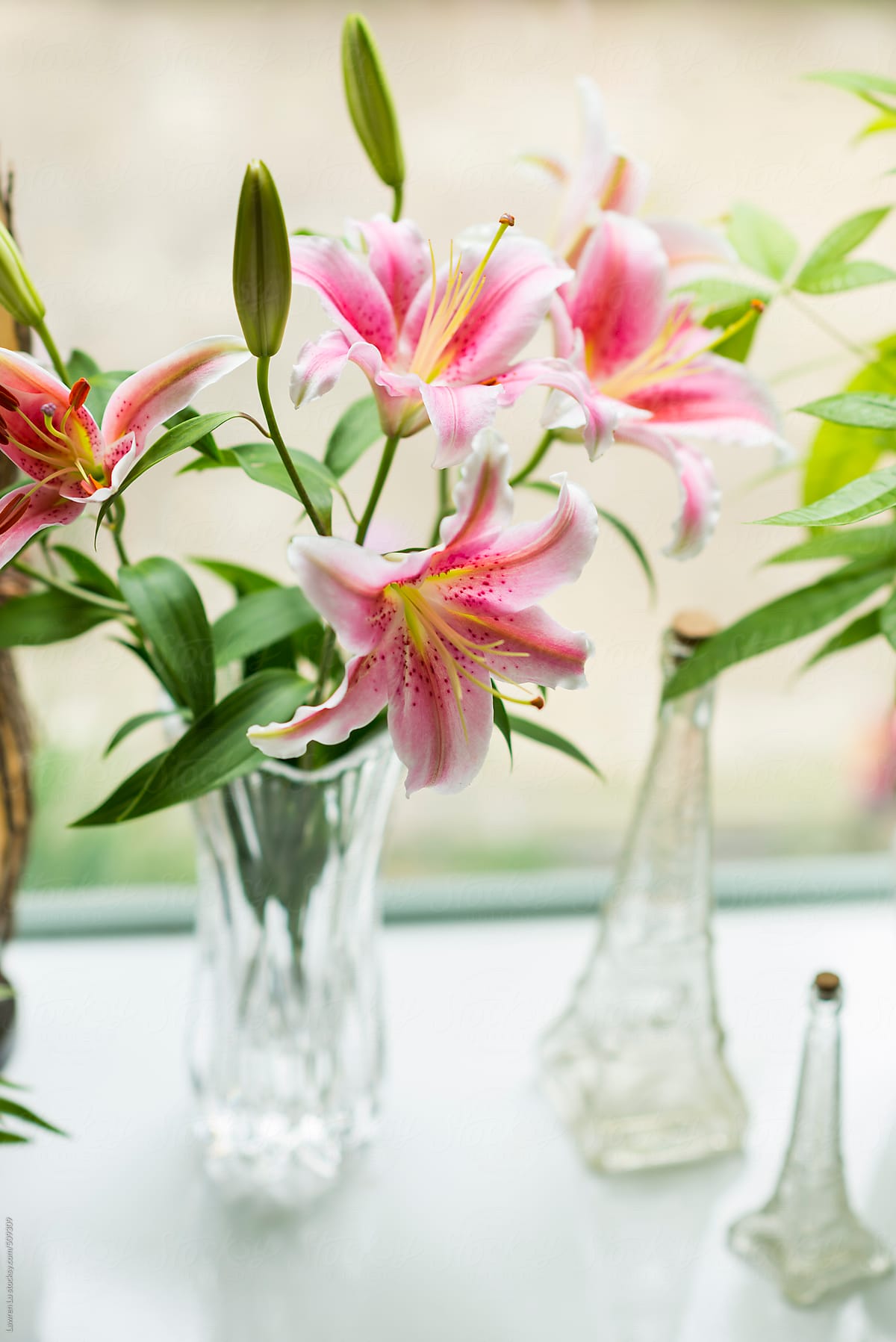 Pink and white lily in glass vase with green leaves