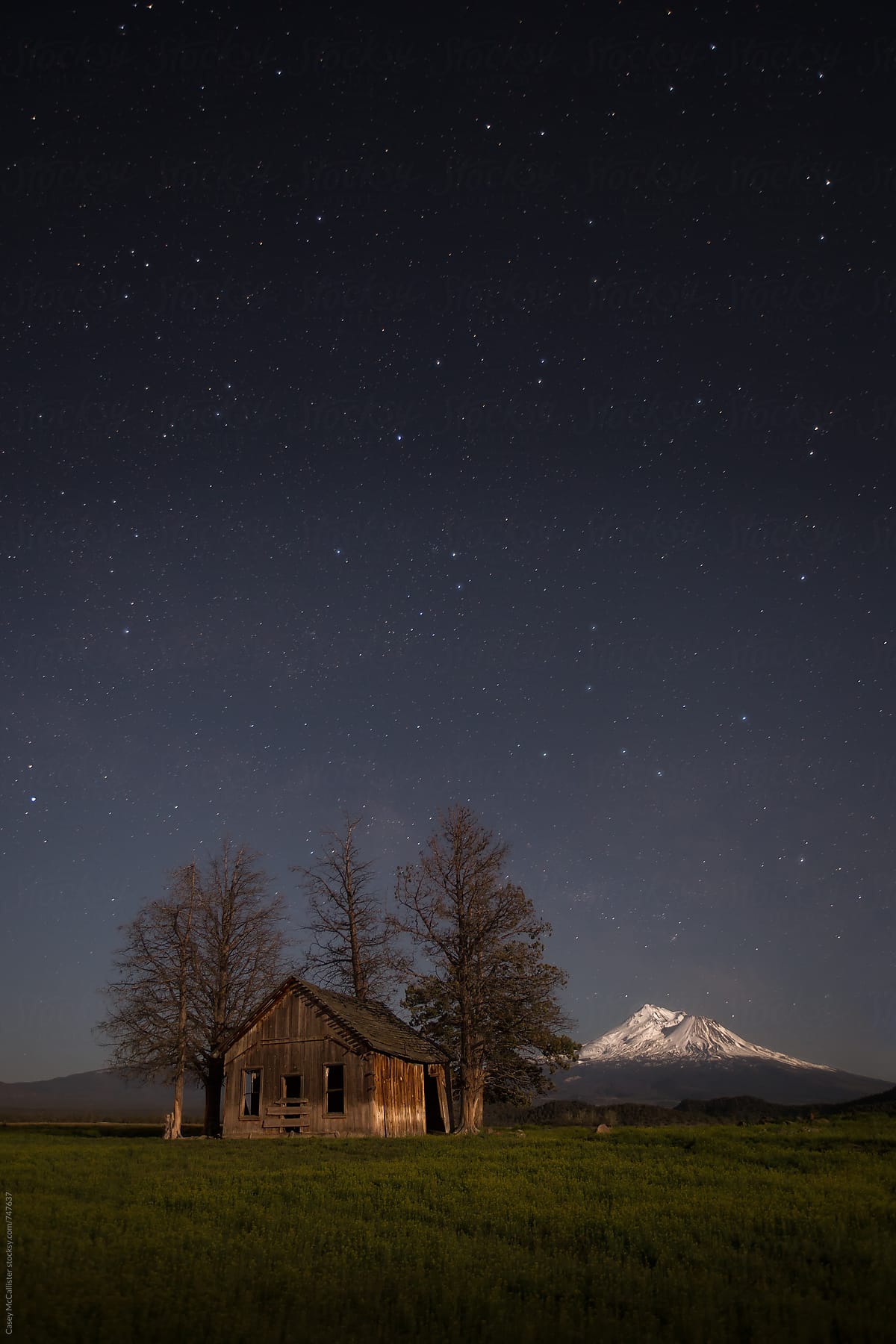 Mount Shasta and a Cabin